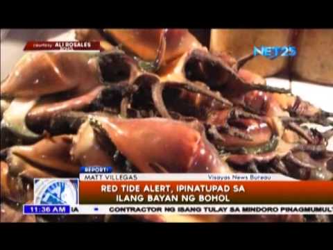 Red tide alert, ipinatupad sa ilang bayan ng Bohol
