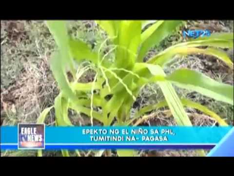 El Niño mas Titindi sa February