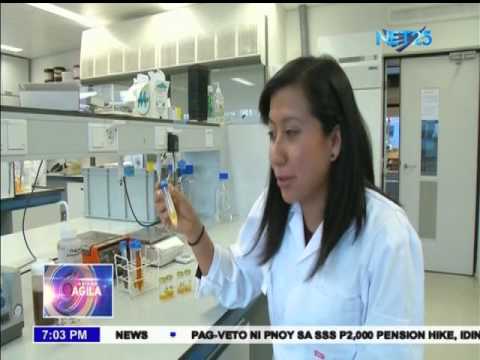 Langis Mula sa mga Insekto, Magandang Source ng Omega 3