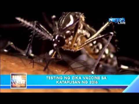 Puwedeng maging vaccine para sa Zika Virus ay susubukan sa pagtatapos ng 2016