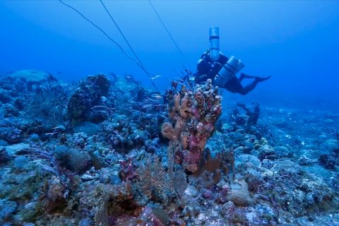 20170314-benham-rise-ocean-uplb-11-480x320
