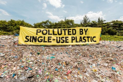 Brand Audit and Waste Audit at Freedom Island