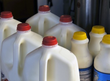 Bird flu viral fragments nasumpungan sa pasteurized milk