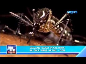 Walang dapat ikaalarma sa Zika Virus sa Pilipinas- DOH