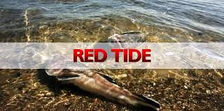 red-tide
