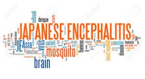 japanese