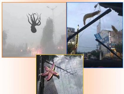 seafood rain