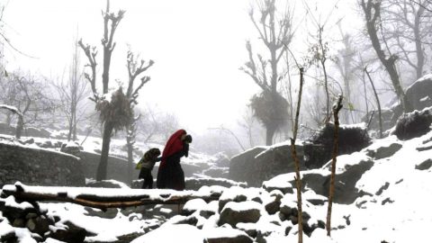 632501-kashmir-snowfall