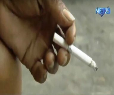 tobacco