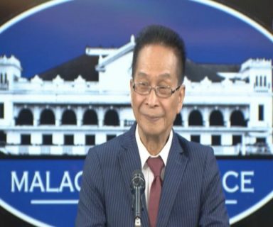Panelo-July-4-960x574