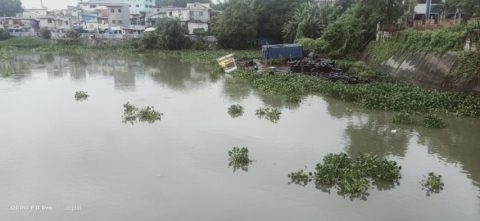 Operasyon ng Pasig River ferry, pansamantalang sinuspinde ng MMDA