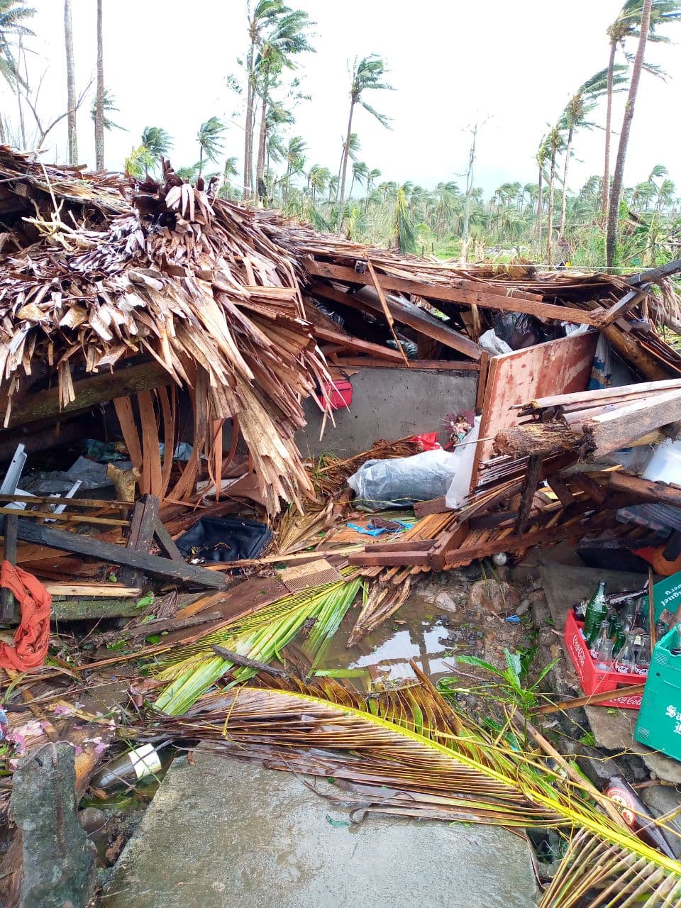 photo_2020-11-04_12-06-12