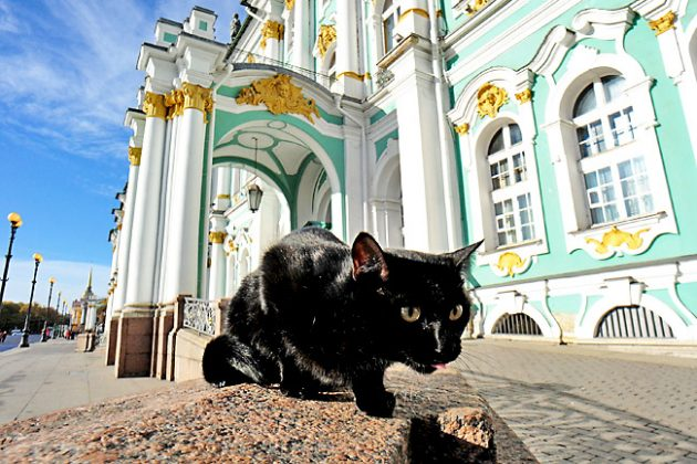 131072969_1340711156264317_2407340522759652854_n