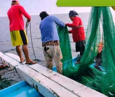 photo_2020-12-06_22-06-20