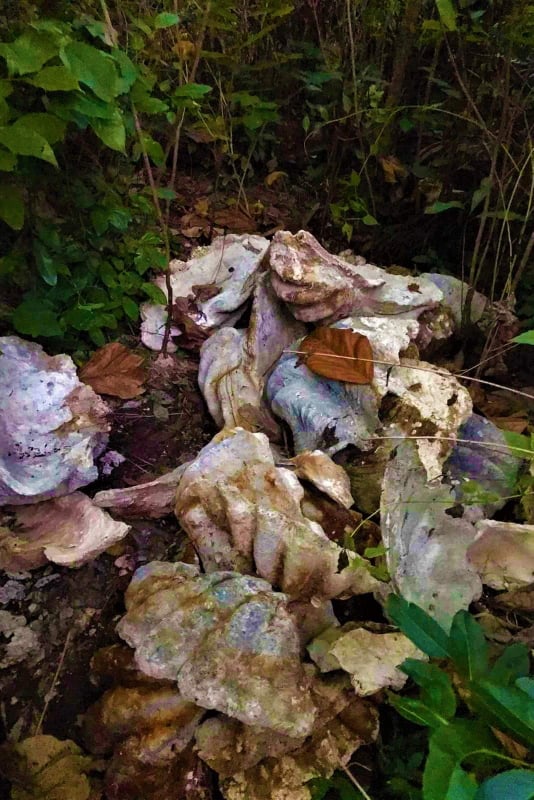 148847205_1365417060459979_7927884125856789869_n