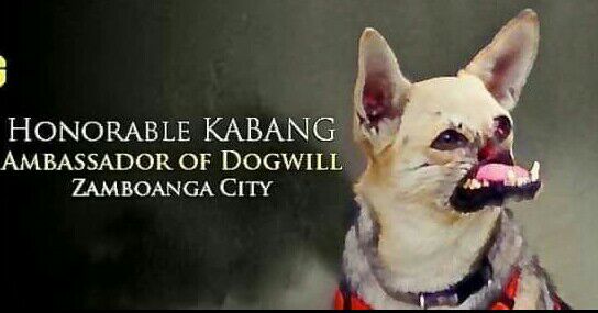 IMG_20210518_111057_503