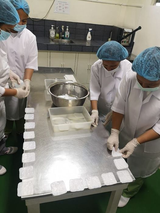 coconut wound dressing