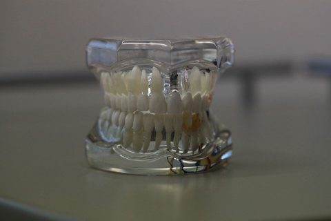 dentistry-668214_640