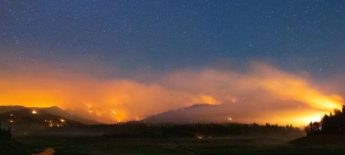 wild fire