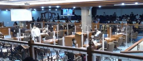 senado