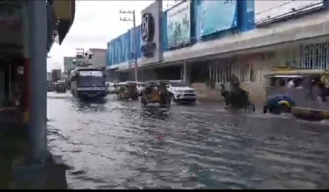HIGH-TIDE-1