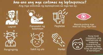 leptospirosis