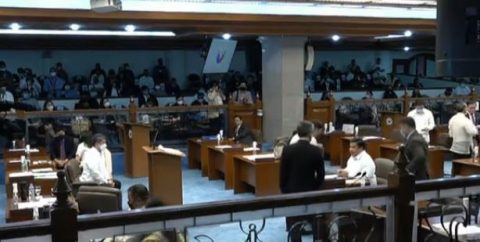 senado