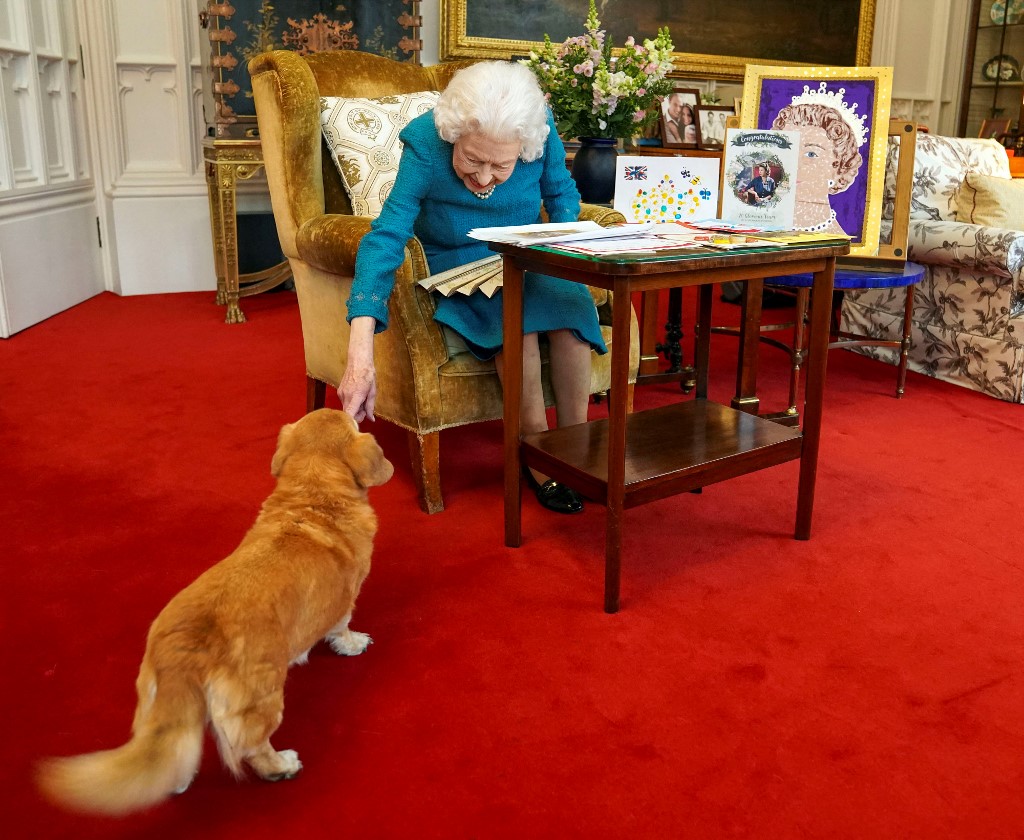 QUEEN-CORGI-1