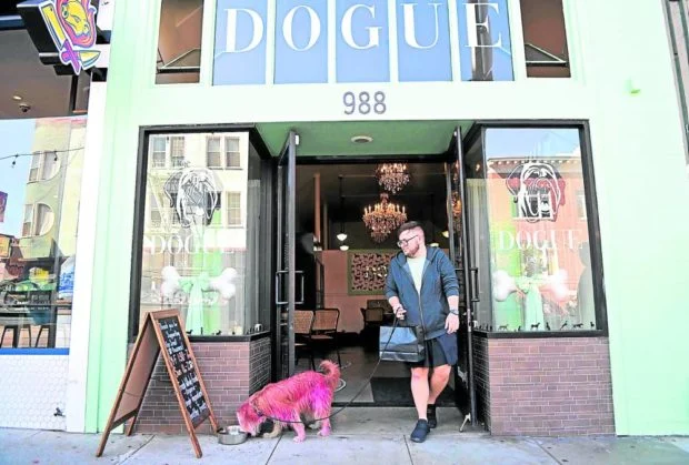 DOOGIE-RESTO