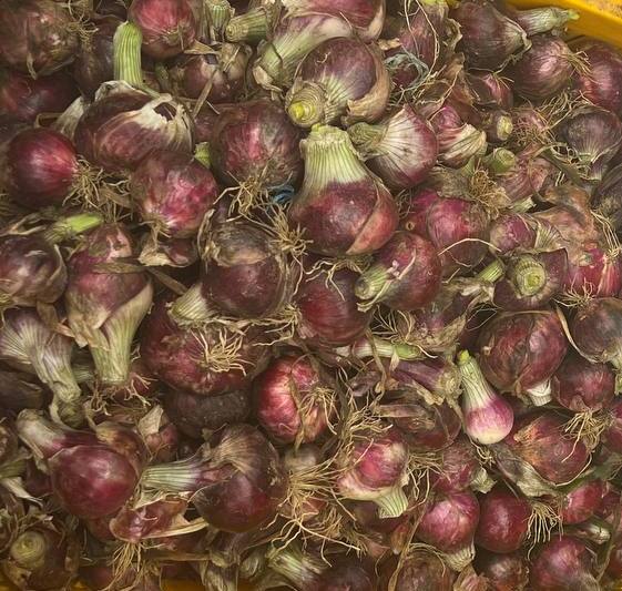 photo_2022-12-30_08-35-15