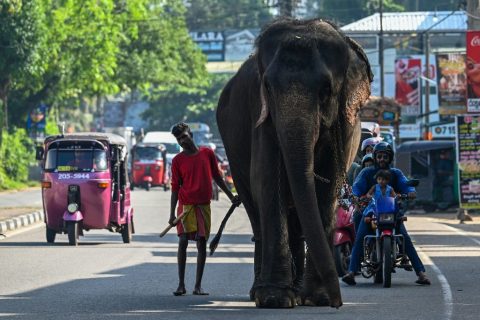 SRI-LANKA-1