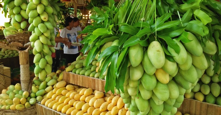 GUIMARAS MANGOES
