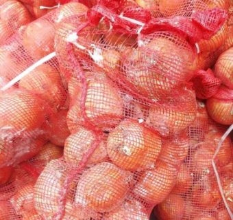 onion