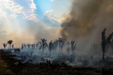 AMAZON AFP 1