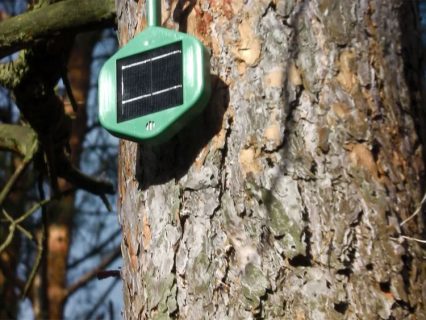 SENSOR