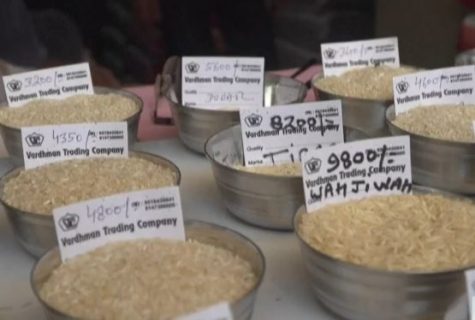 vietnam rice
