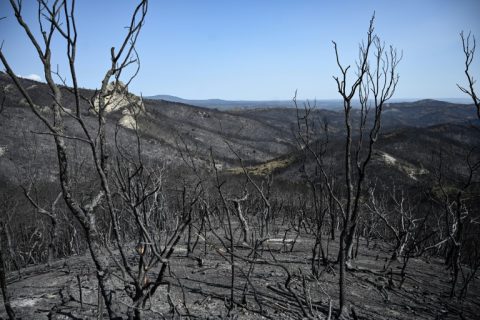 GREECE WILDFIRE