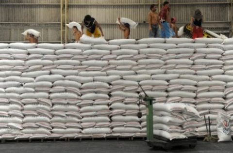 RICE GRANTS