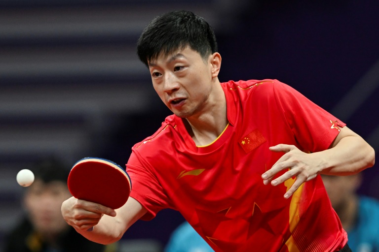 TABLE TENNIS LEGEND MA