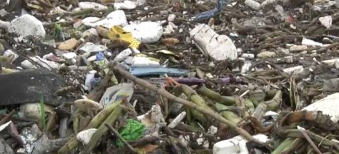 basura