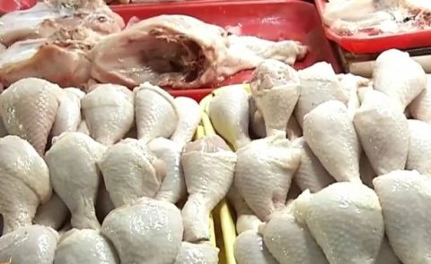 chicken
