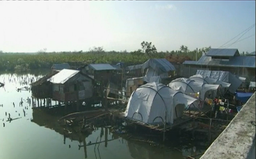 YOLANDA TENTS