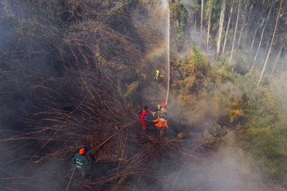 COLOMBIA WILDFIRES