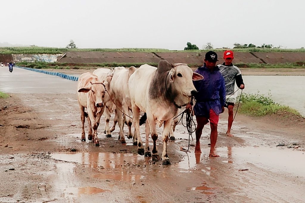 FARM TO MARKET ROADS