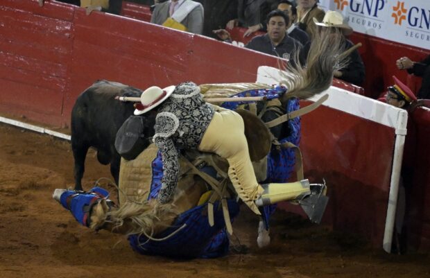 BULLFIGHTER
