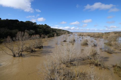 FRANCE FLOODS