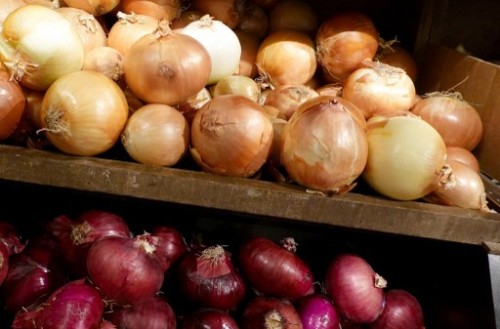 Gobyerno nagtatayo ng cold storage facilities upang mapatatag ang presyo ng sibuyas