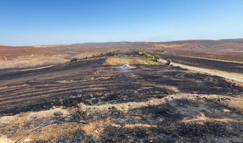 TURKIYE WILDFIRE