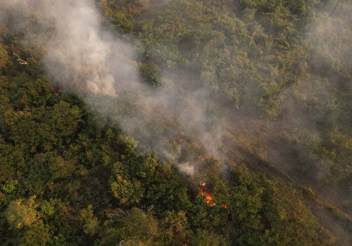 AMAZON WILDFIRES