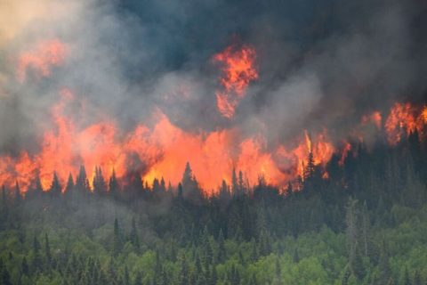 CANADA WILDFIRES